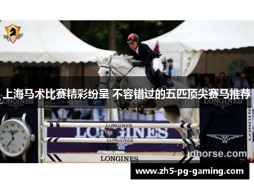 上海马术比赛精彩纷呈 不容错过的五匹顶尖赛马推荐