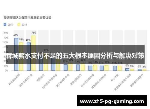 蓉城薪水支付不足的五大根本原因分析与解决对策
